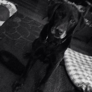 Meet your Posher, Loretta